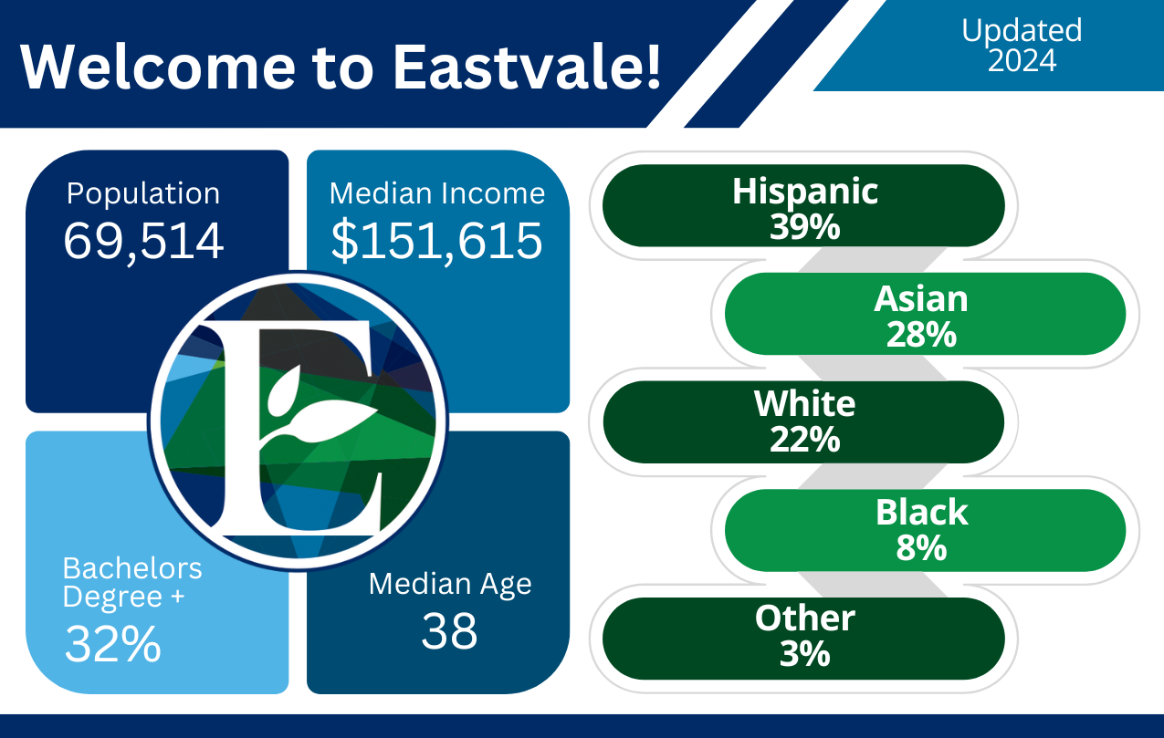 Demographics Infographic