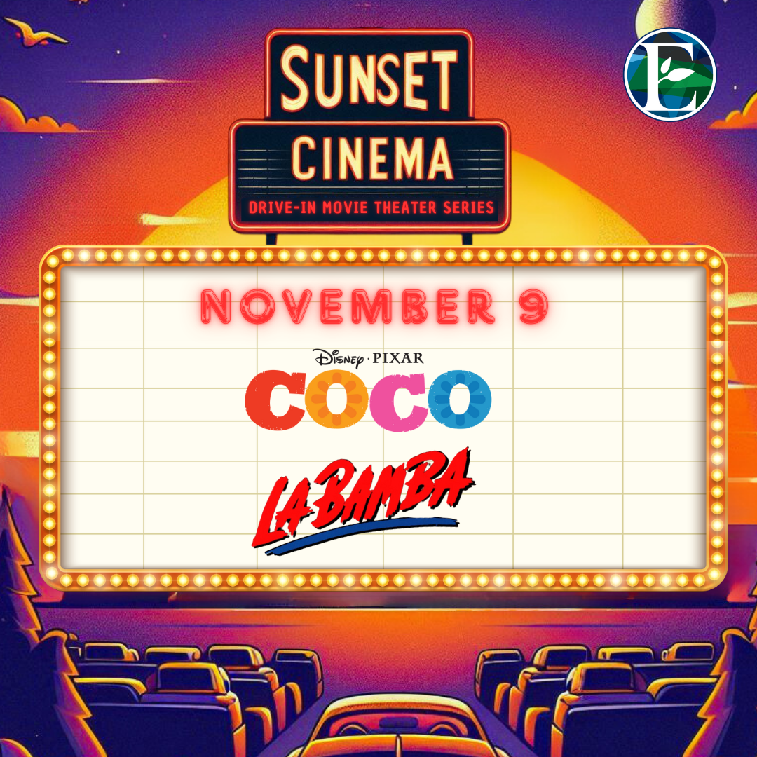 Sunset Cinema - Slide 2 (1)