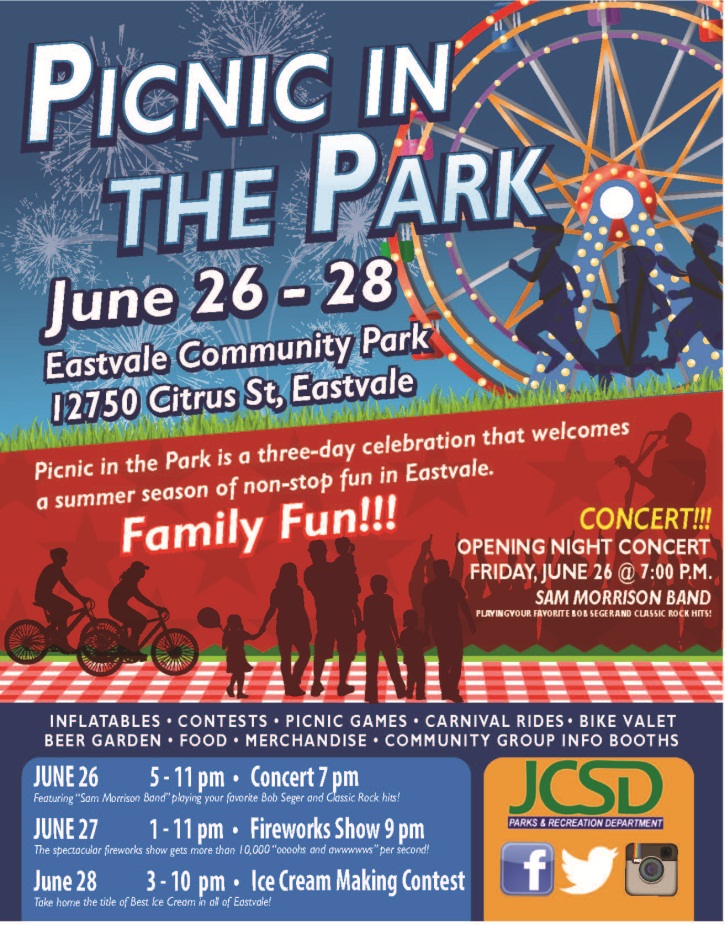 Picnic in the Park 2015 (3)