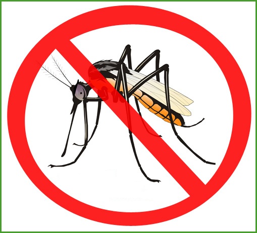 No_mosquito