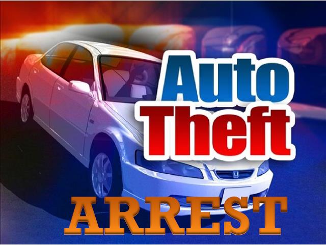 Auto Theft Arrest