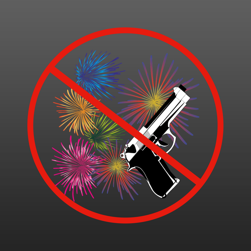 No Fireworks%2FFirearms