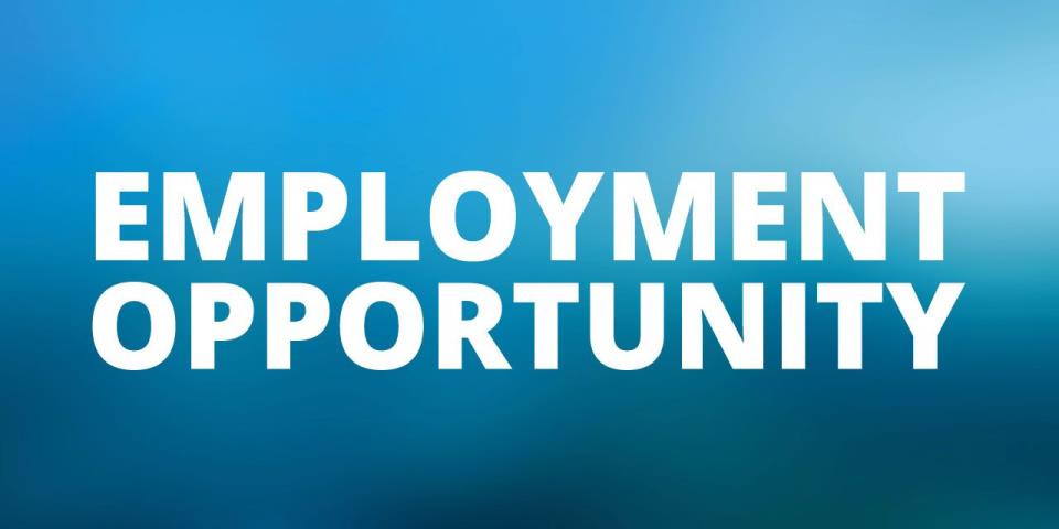 Employment-Opportunity-1280x640