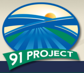 91 Project logo