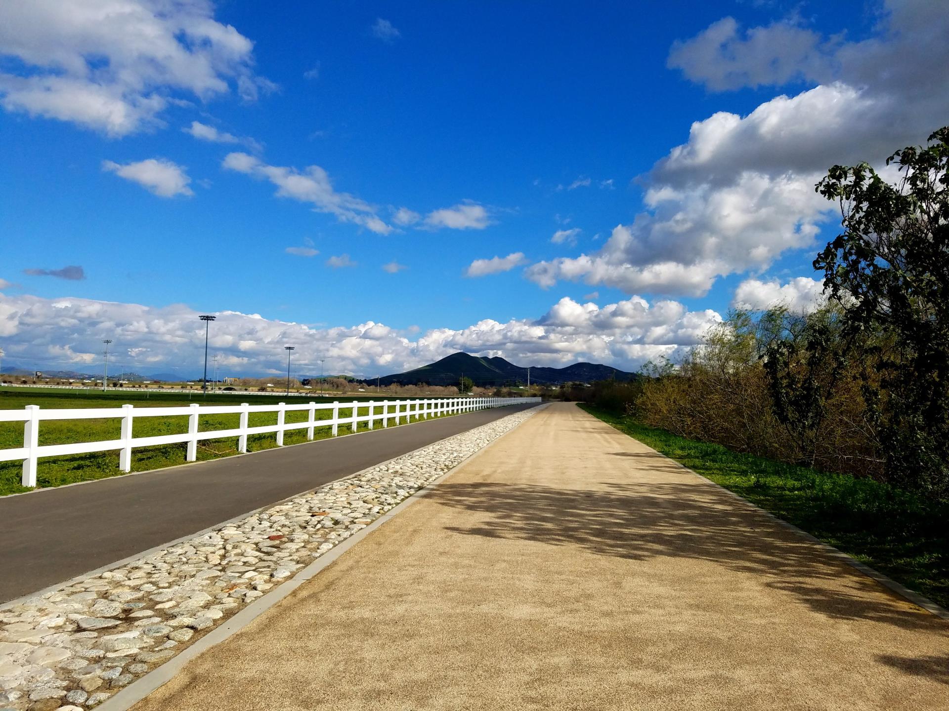 Riverwalk Trail - Ying Li - 5