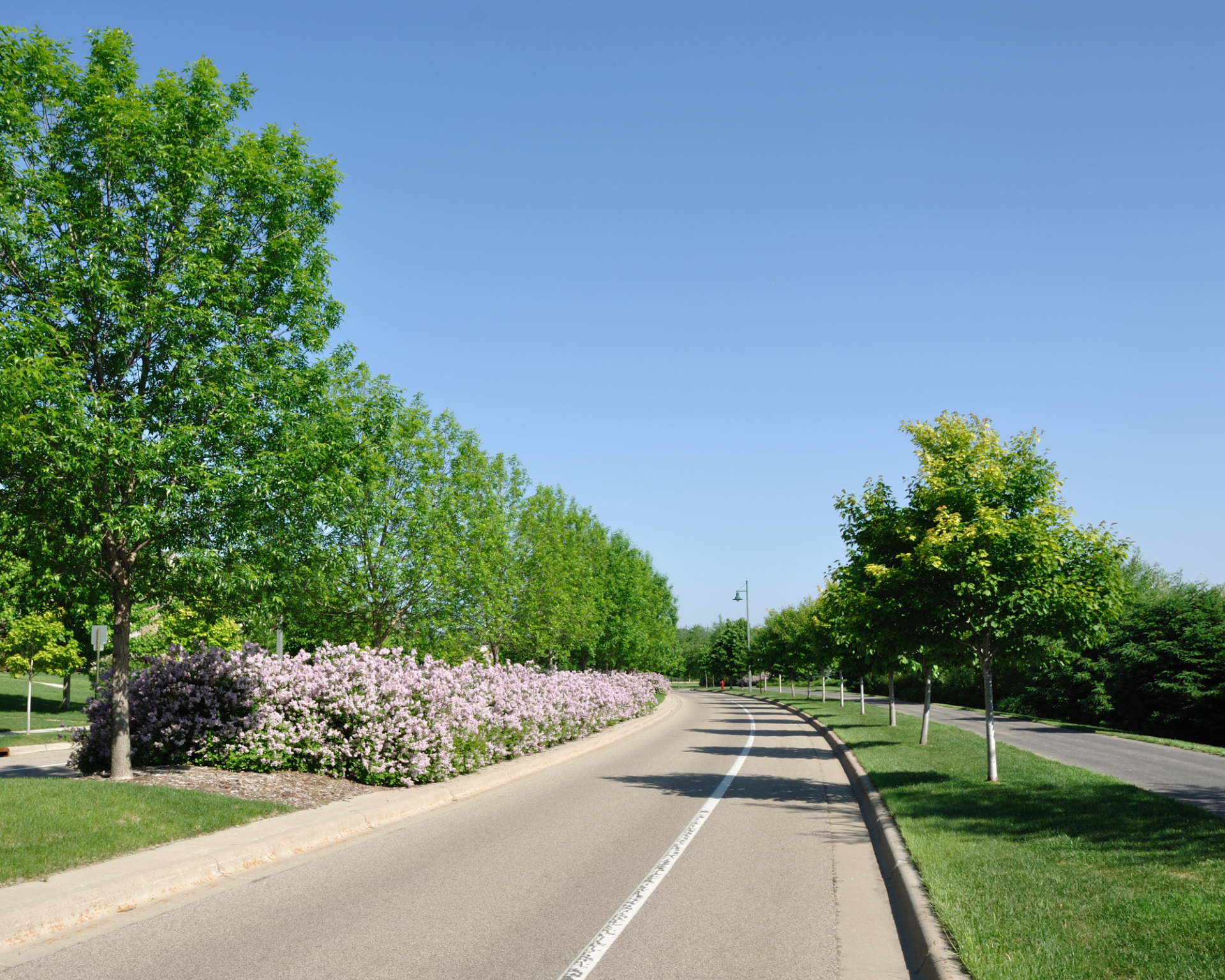 road/median 