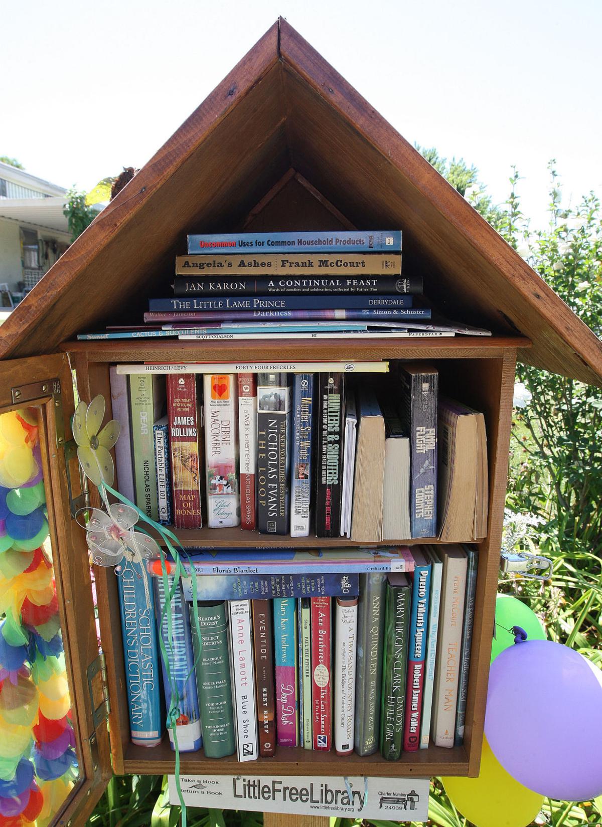 little library image